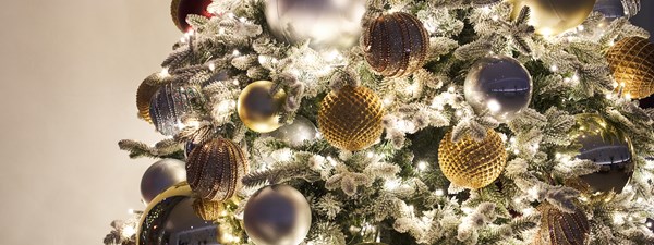 Close up of Christmas tree decorated with ornaments