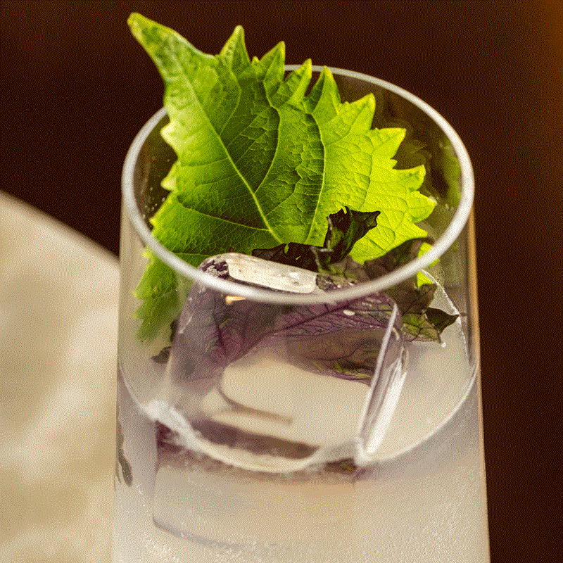Clear cocktail in a highball glass with green and purple garnish