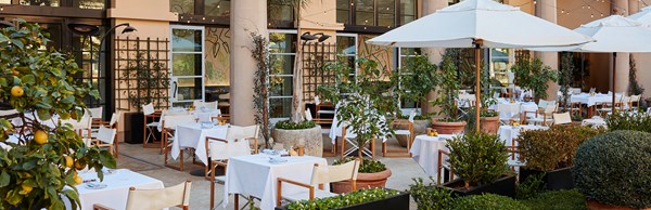 Exterior of The Terrace with white chairs and lemon trees